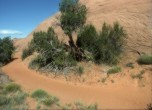 The pioneers' trail just prior to dropping into Ribbon Canyon. Lamont Crabtree Photo